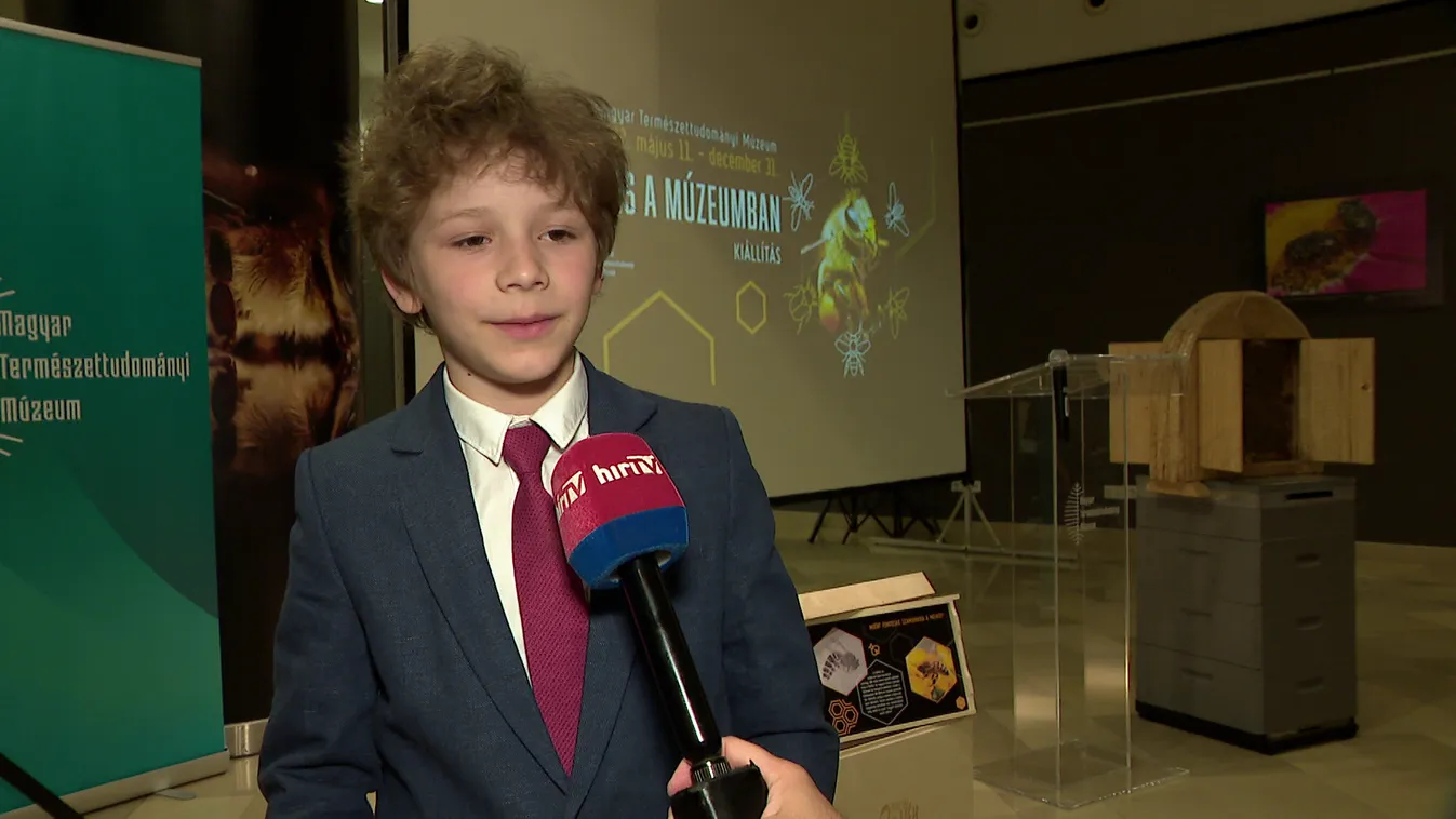 Tehetsz méh többet: zümmögés a múzeumban