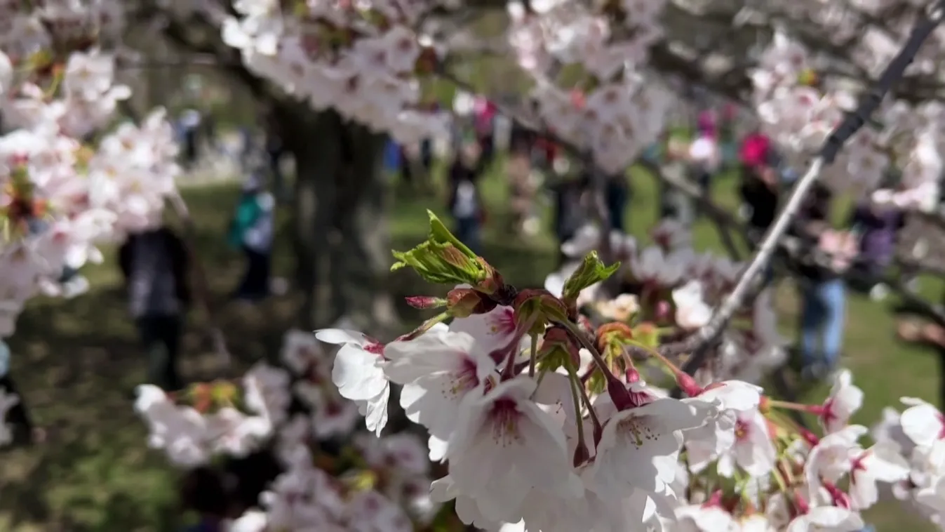 Radar: Színes hírek a nagyvilágból