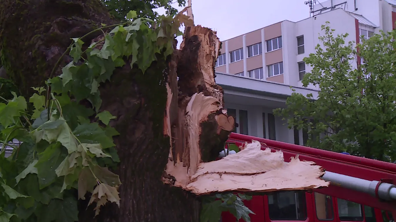 Szita Károly: Ilyen pusztításra még az idősek sem emlékeznek