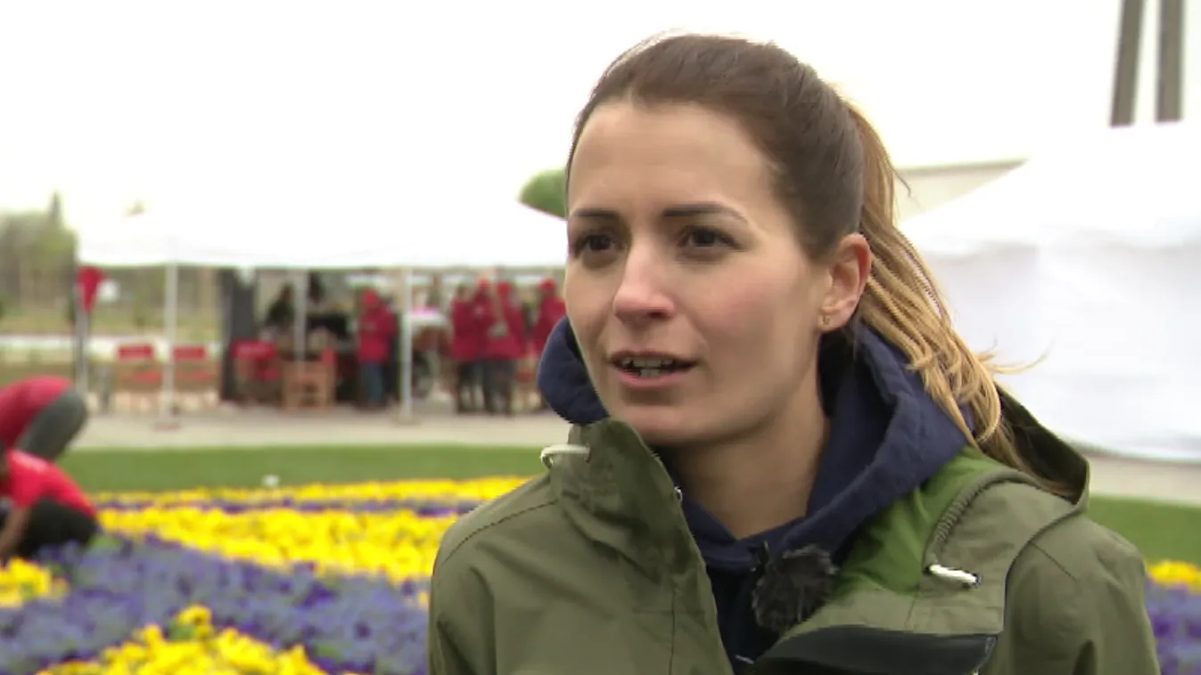 Mozaik - Virágültetés ukrán színekben