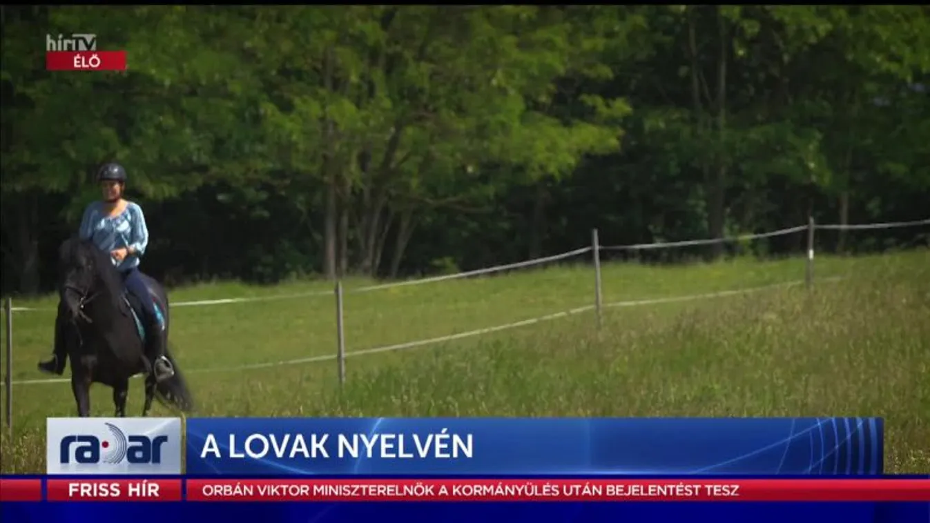 Radar - A lovak nyelvén (2022-05-25)