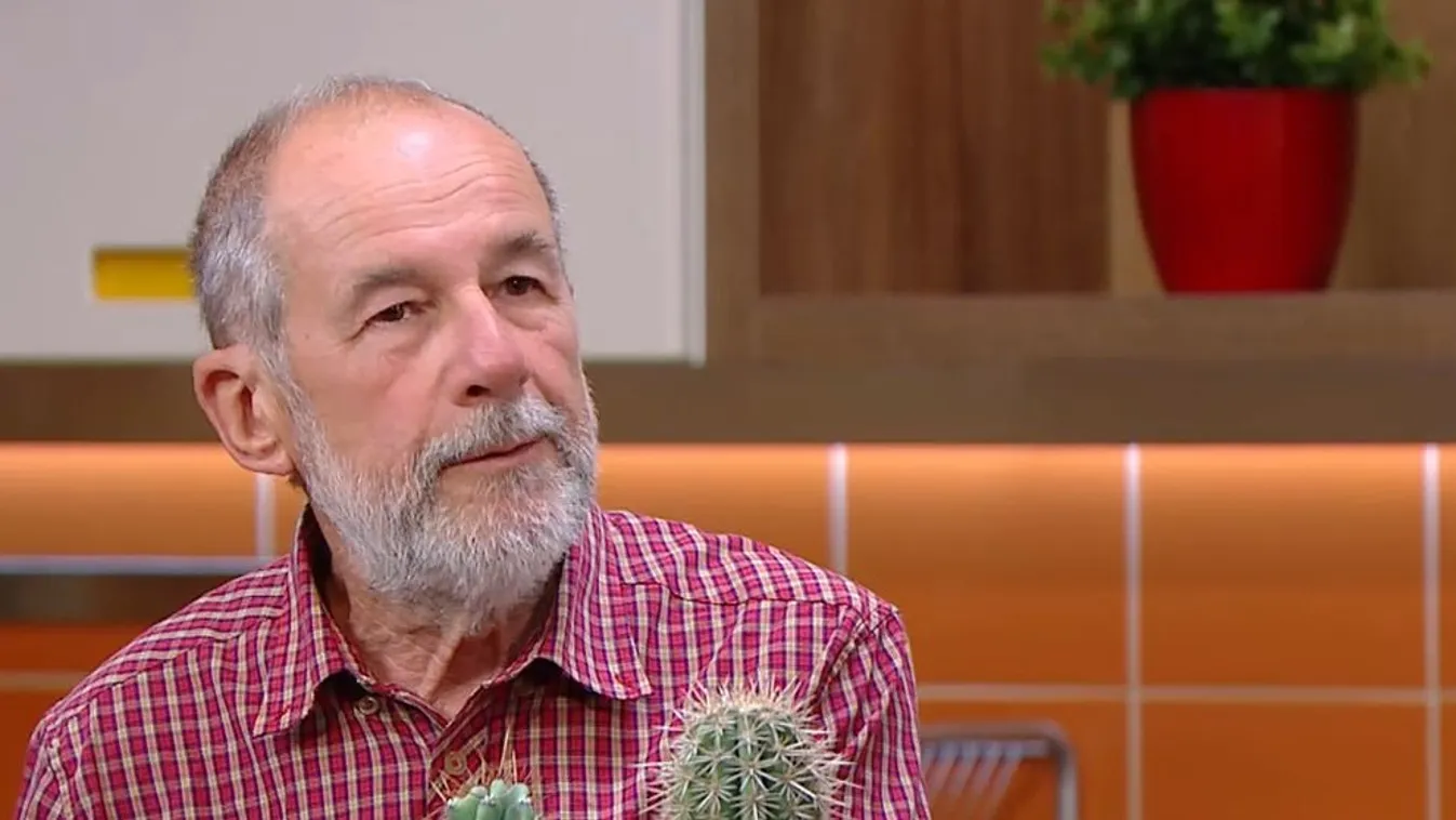 Mozaik - Mexikó Sünkaktuszai a Tavaszi Kaktusz Kiállításon a Füvészkertben