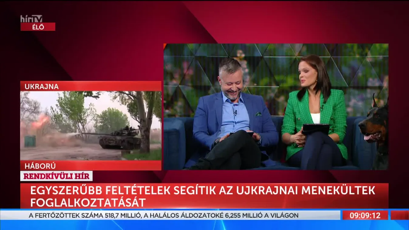 Mozaik - Hogyan sétáltassuk helyesen a kutyát? (2022-05-11)