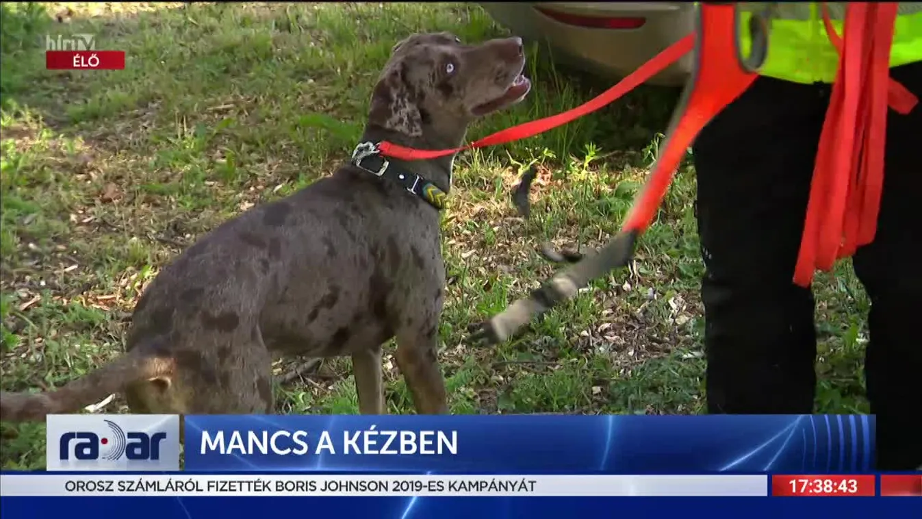 Radar - Mancs a kézben (2022-05-12)