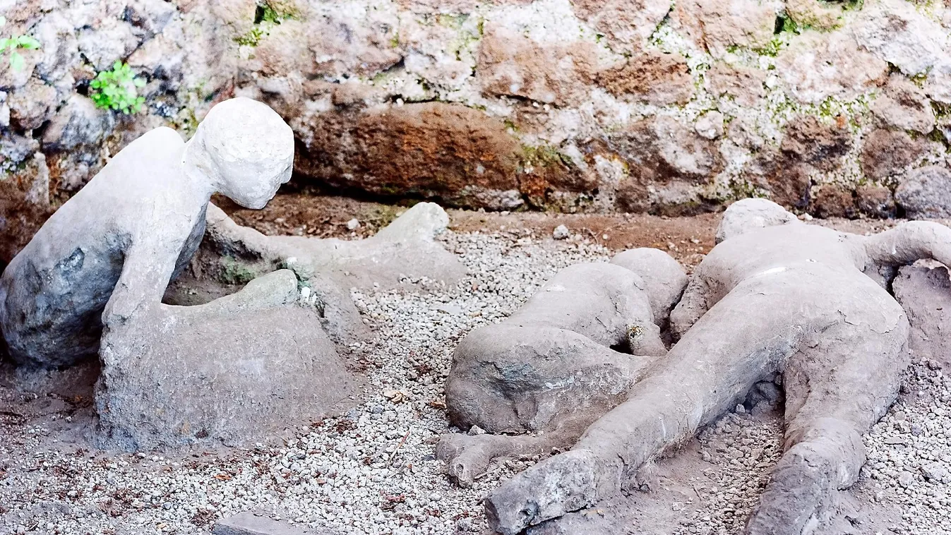 Először térképezték fel a pompeji vulkánkitörés egy áldozatának teljes génkészletét