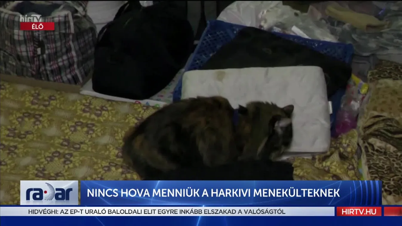Radar - Nincs hova menniük a harkivi menekülteknek (2022-05-24)