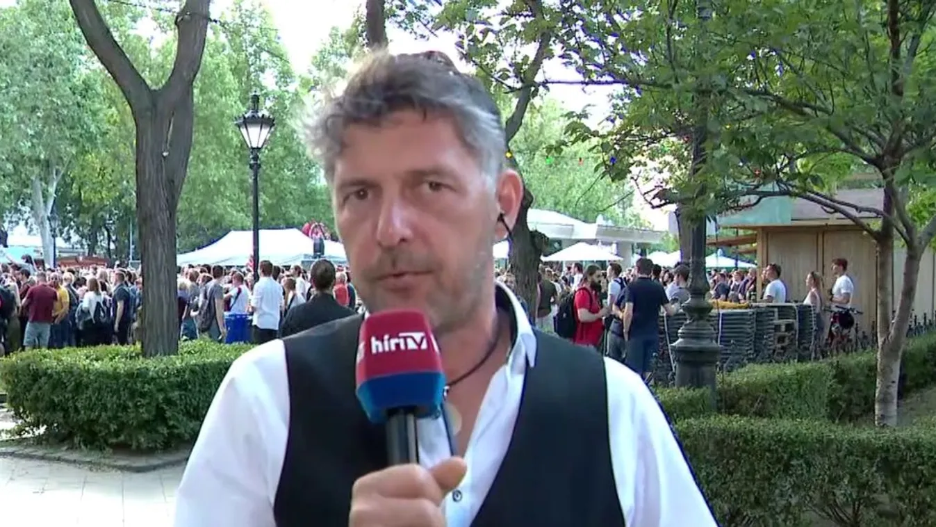 Szentgyörgyvölgyi Péter: A rakpartlezárás kapcsán nem látni a hatástanulmányokat