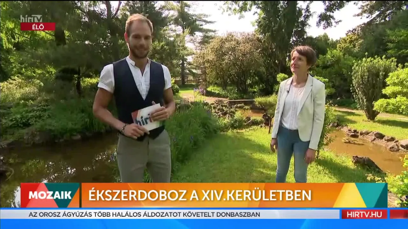 Mozaik - Ékszerdoboz a XIV. kerületben (2022-05-25)