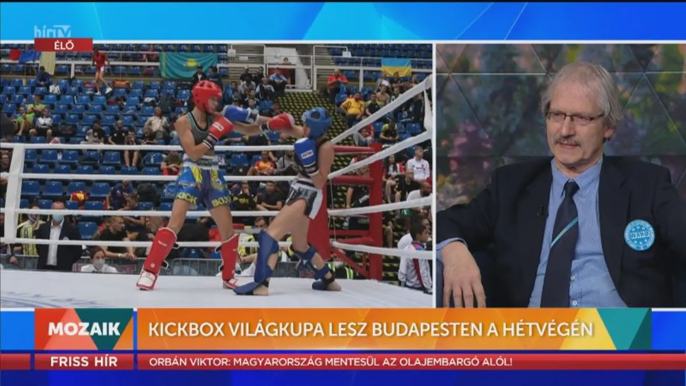 Mozaik - Kickbox Világkupa Budapesten (2022-05-31)