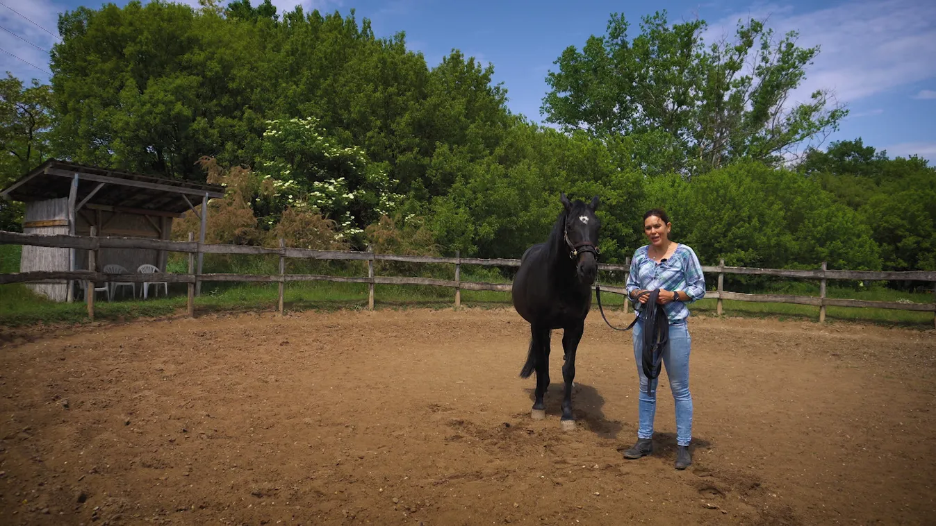 Radar: A lovak nyelvén