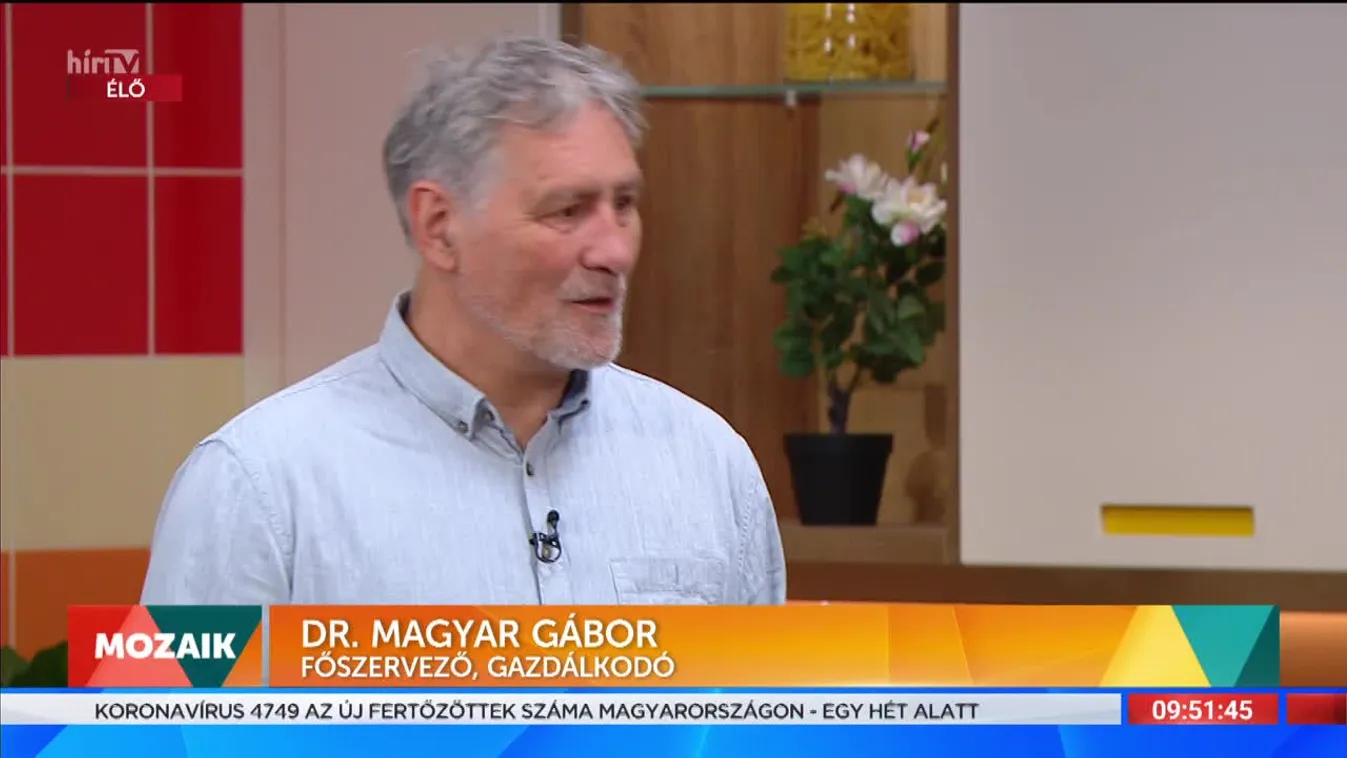 Mozaik - Május utolsó hétvégéjén Eperfesztivál lesz Tahitótfaluban (2022-05-18)