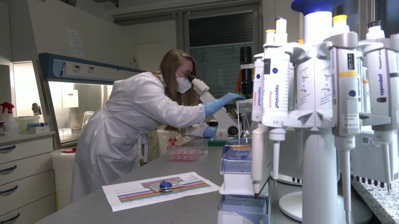 Három újabb országban találtak majomhimlővel fertőzött betegeket