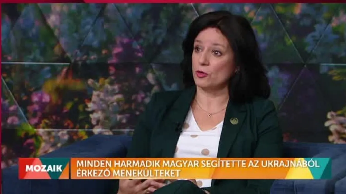 Mozaik - Minden harmadik magyar segítette az Ukrajnából érkező menekülteket