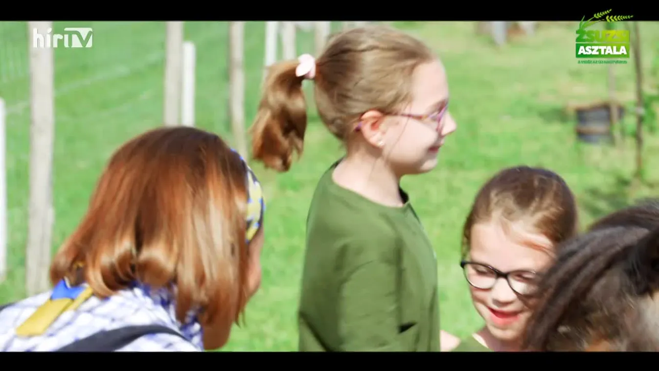 Zsuzsi asztala (2022-06-18)