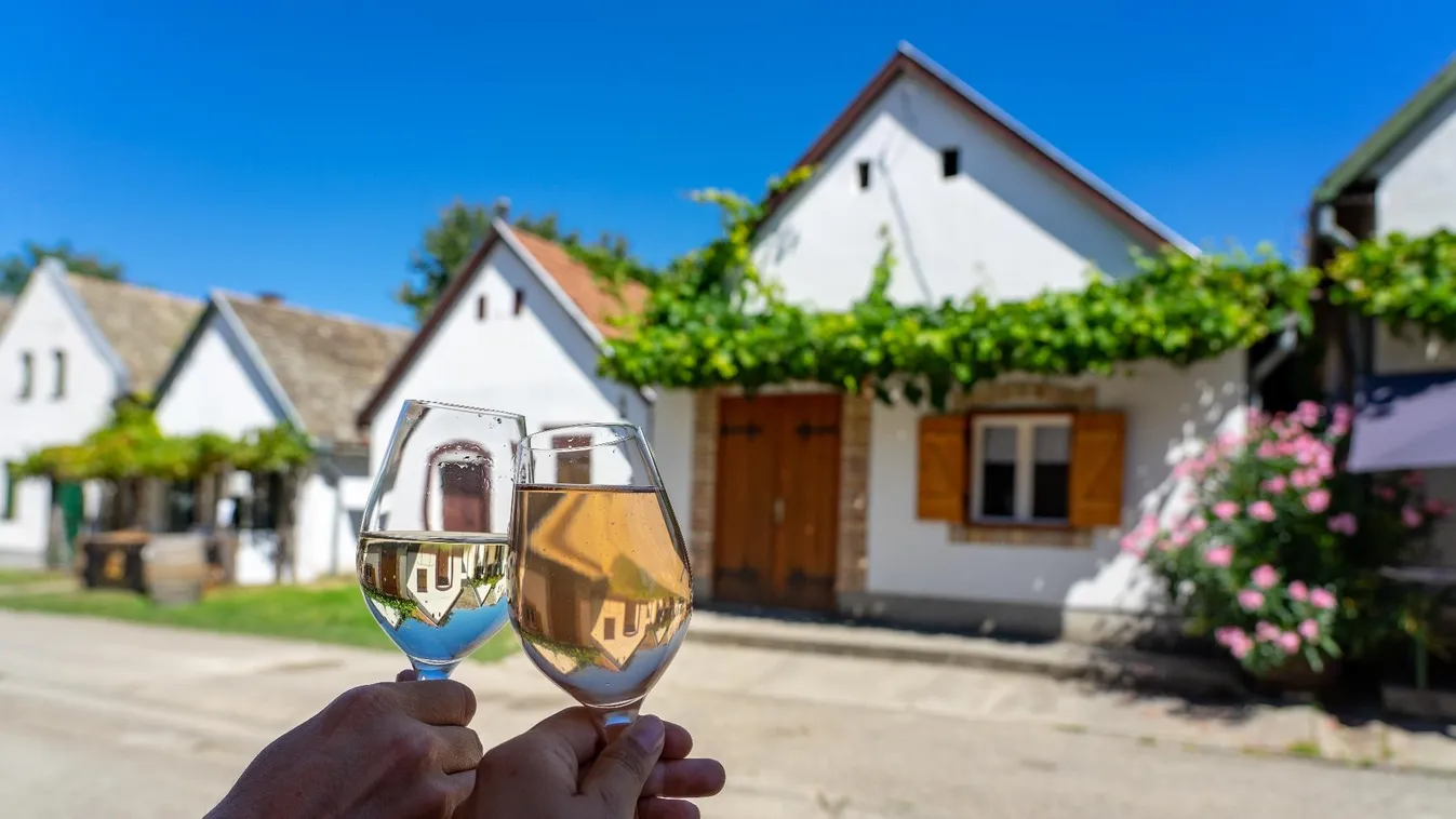 Több mint másfélmilliárd forintos fejlesztést hajtott végre a villányi Bock Borászat Kft.