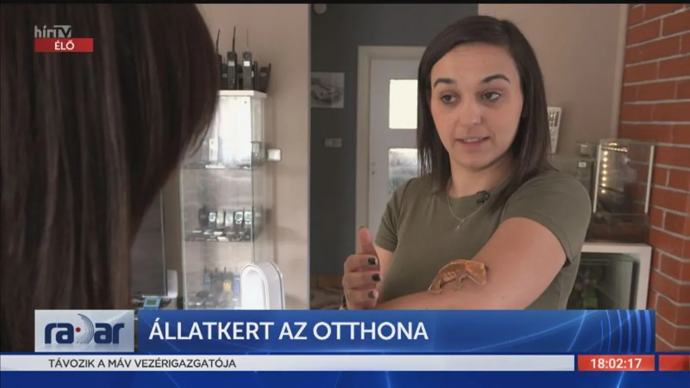 Radar - Állatkert az otthona (2022-06-01)