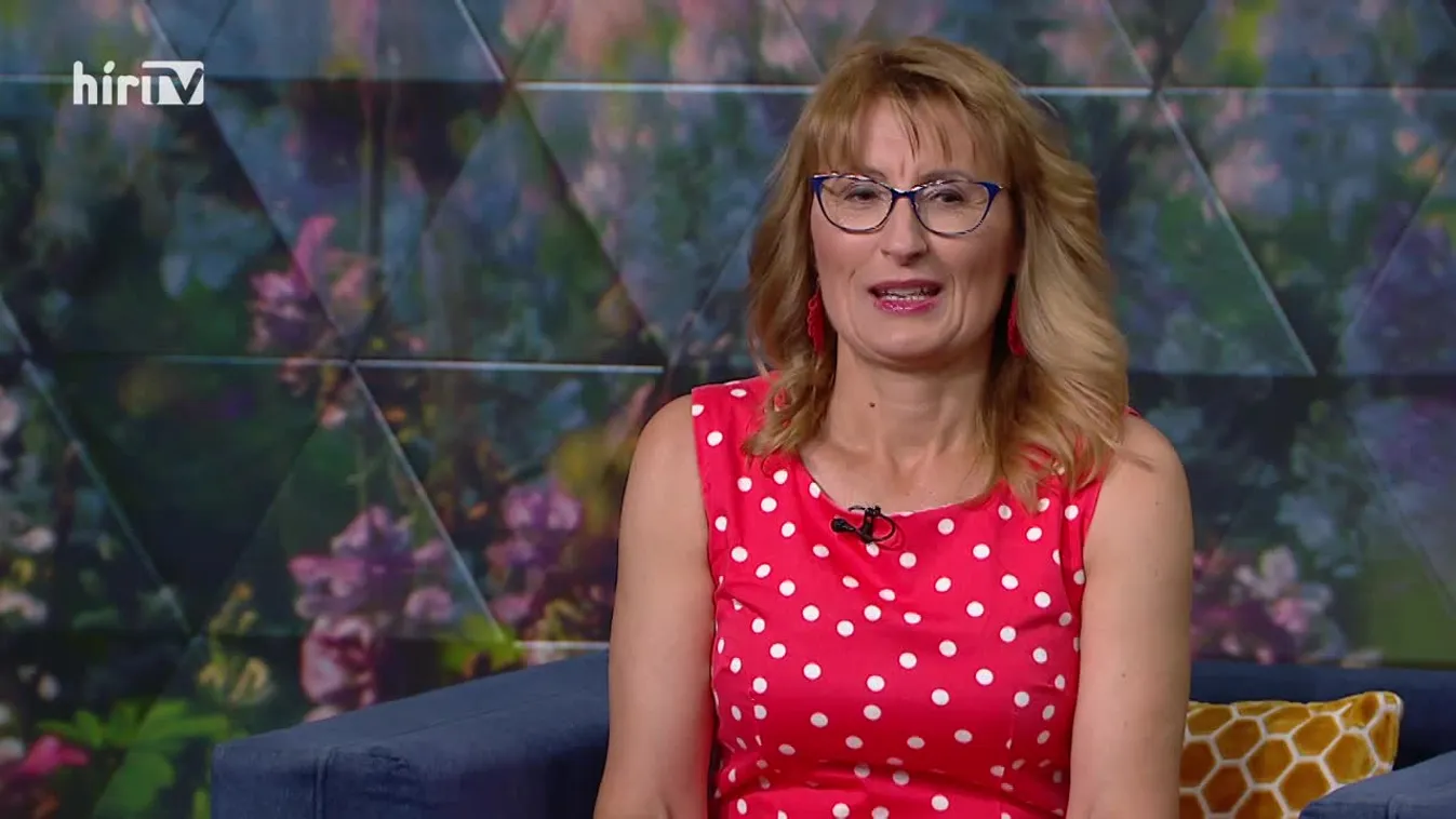 Mozaik - IV. Budakörnyéki Sörfesztivál lesz Budakeszin (2022-06-17)