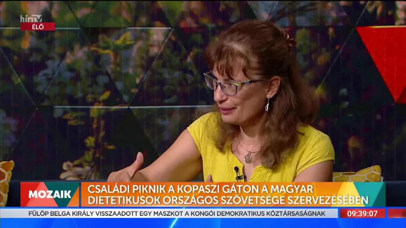 Mozaik - Családi Piknik a Kopaszi gáton a Magyar Dietetikusok Országos Szövetsége szervezésében