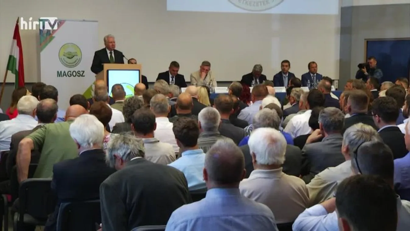 Soroló (2022-06-04)