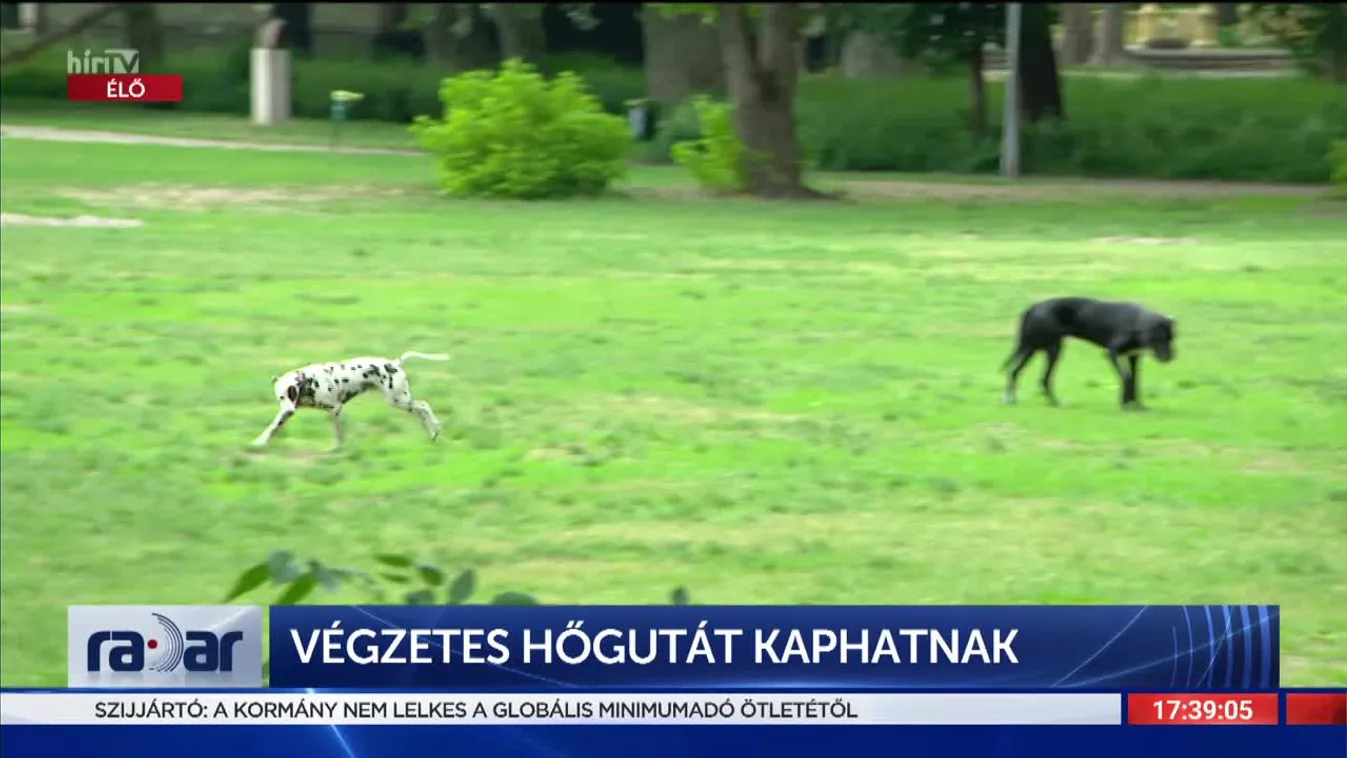 Radar - Végzetes hőgutát kaphatnak (2022-06-15)