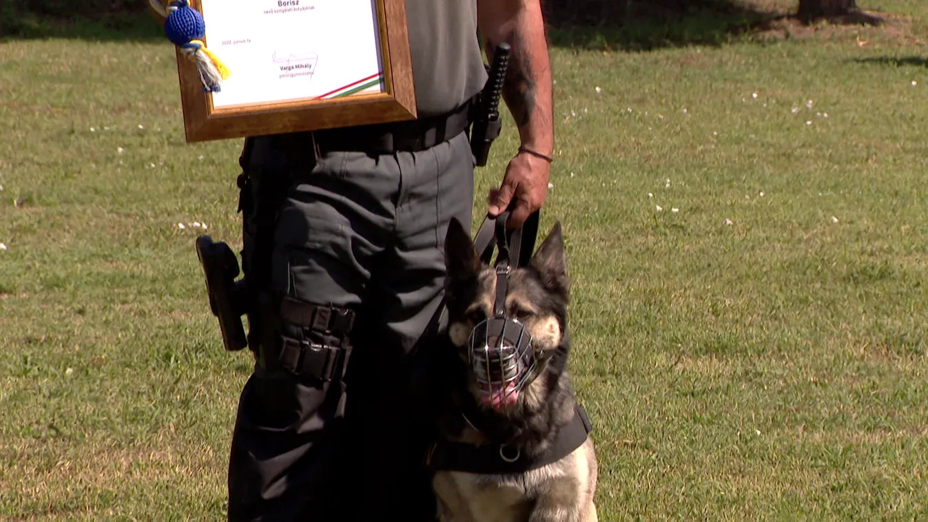 A NAV legeredményesebb szolgálati kutyáit díjazták
