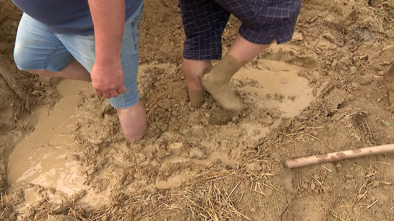 Radar: Újra hódít a vályog