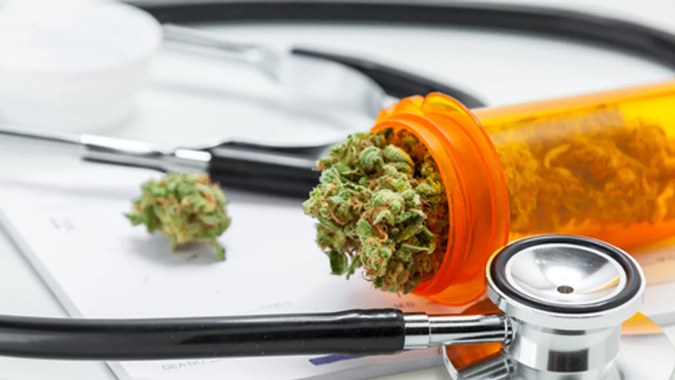Ázsiában Thaiföldön legalizálták elsőként a marihuánát orvosi célra