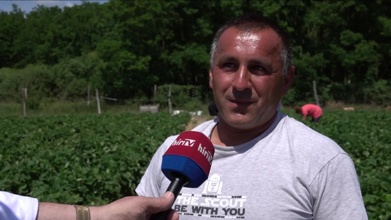 Népszerű a Szedd magad akció Vajszlón