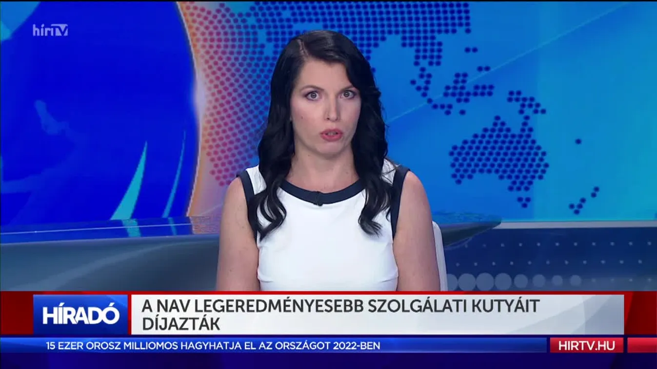 A NAV legeredményesebb szolgálati kutyáit díjazták