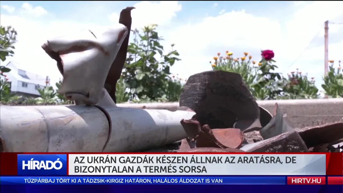 Az ukrán gazdák készen állnak az aratásra, de bizonytalan a termés sorsa