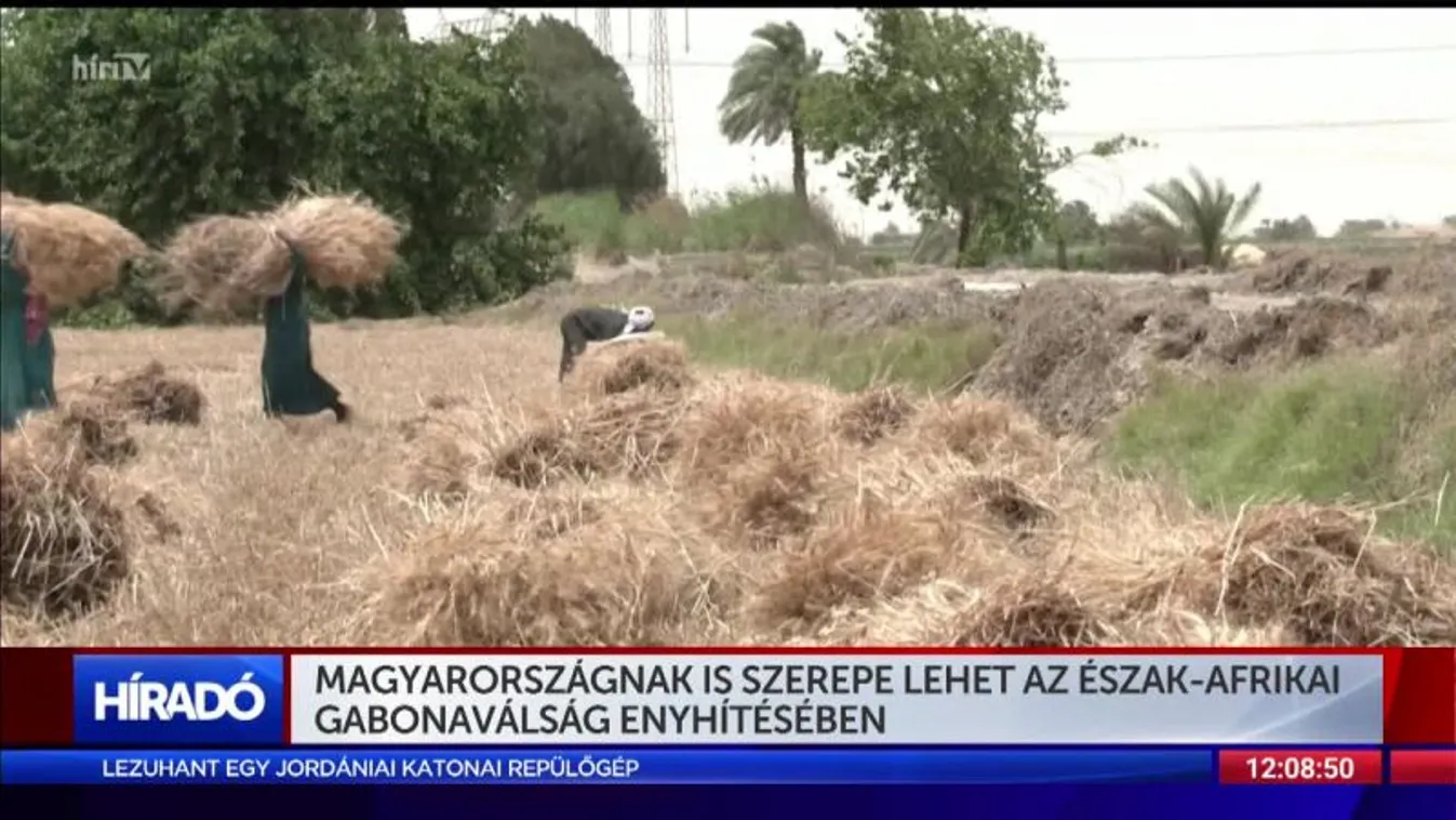 Magyarországnak is szerepe lehet az észak-afrikai gabonaválság enyhítésében