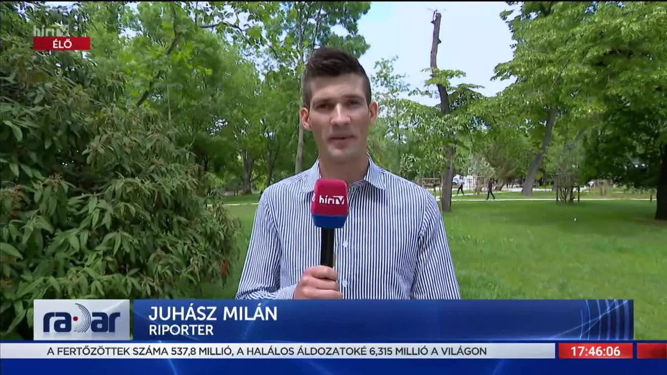 Radar - Magyar szlengek (2022-06-17)