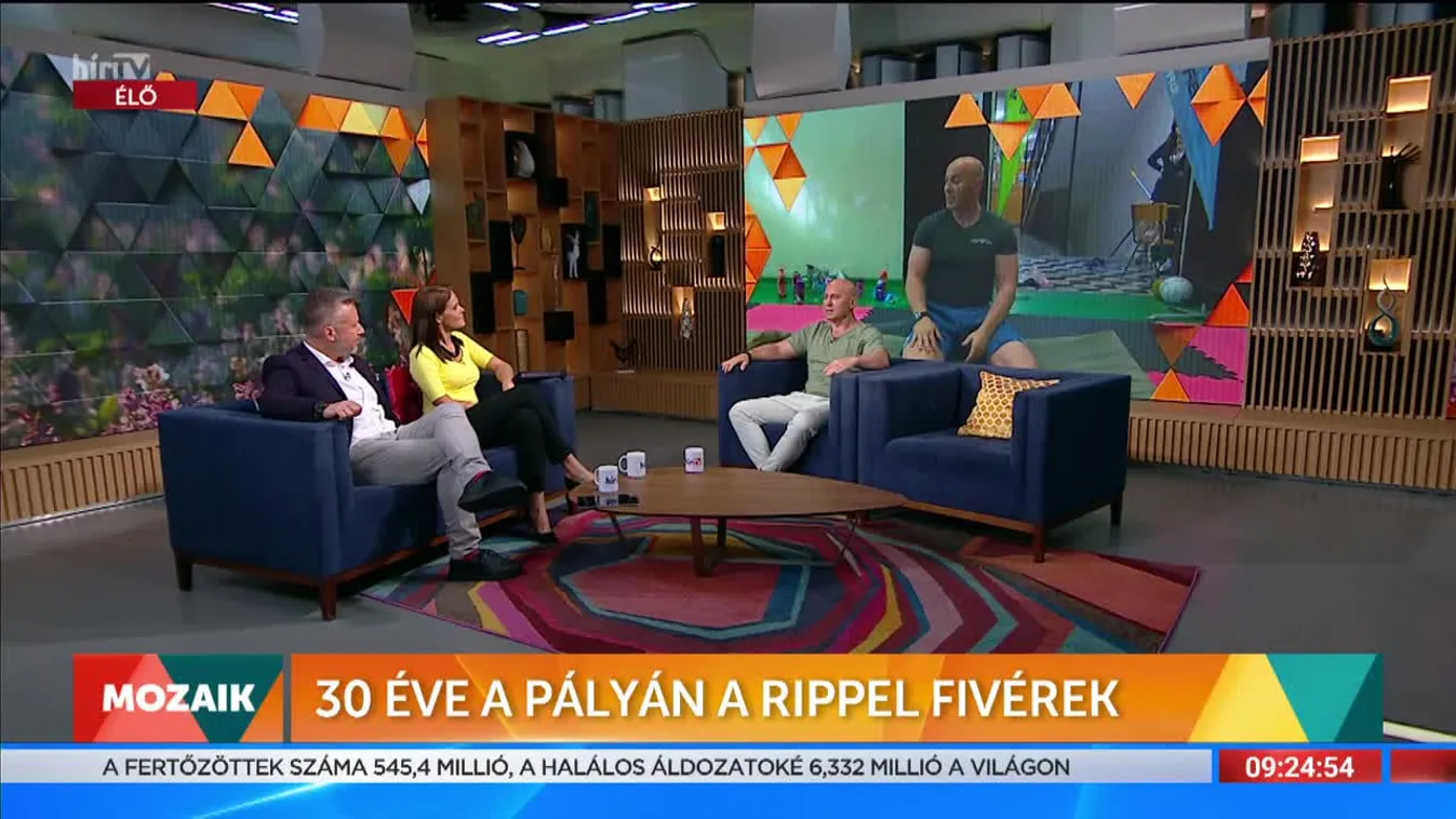 Mozaik - 30 éve pályán a Rippel fivérek