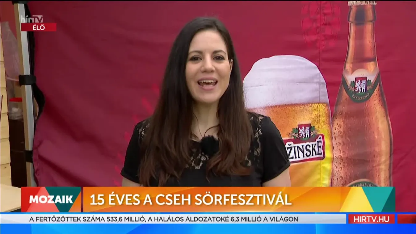 Mozaik - 15 éves a Cseh sörfesztivál