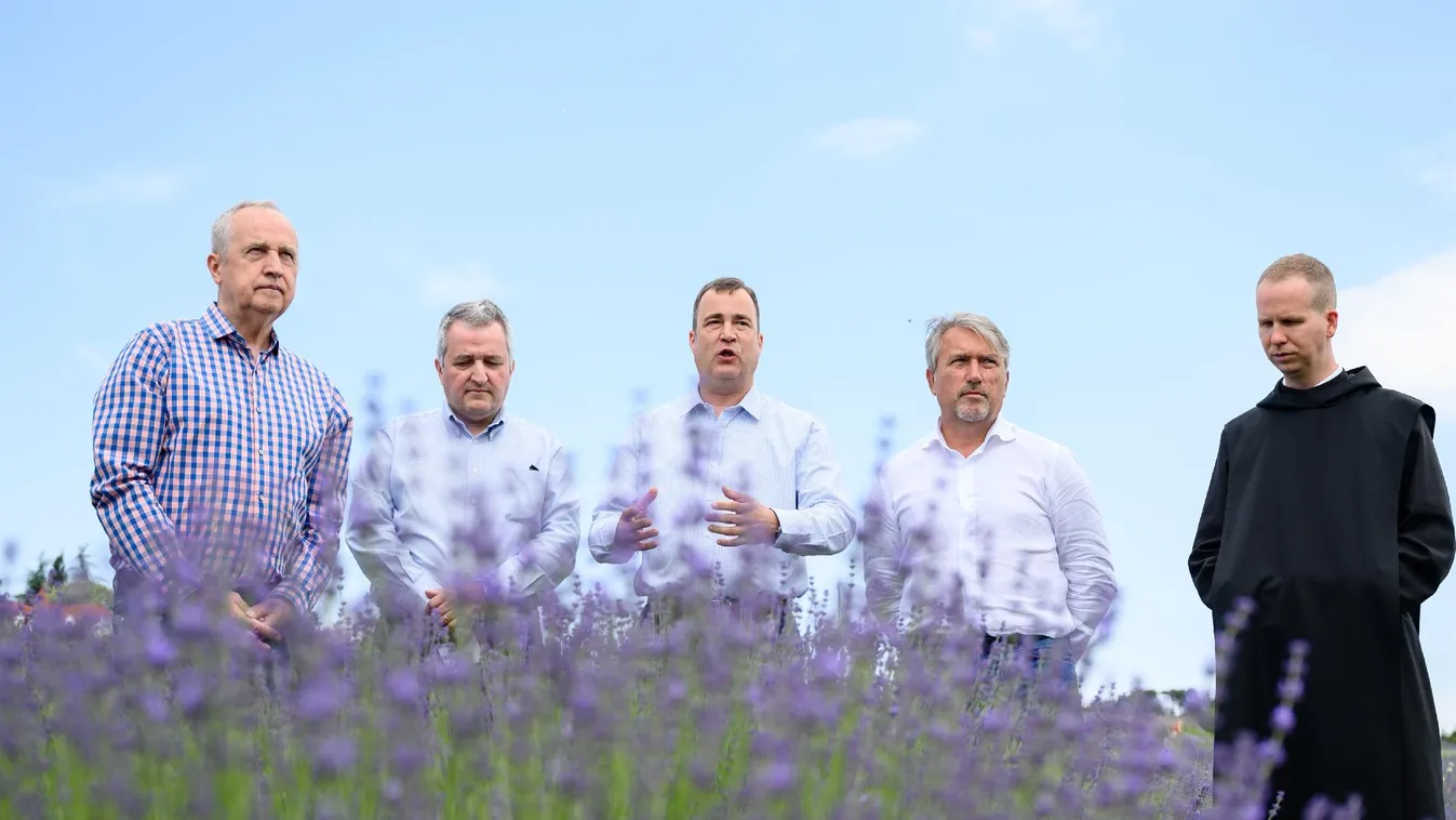 Megkezdődtek a Levendula Hetek Tihanyban