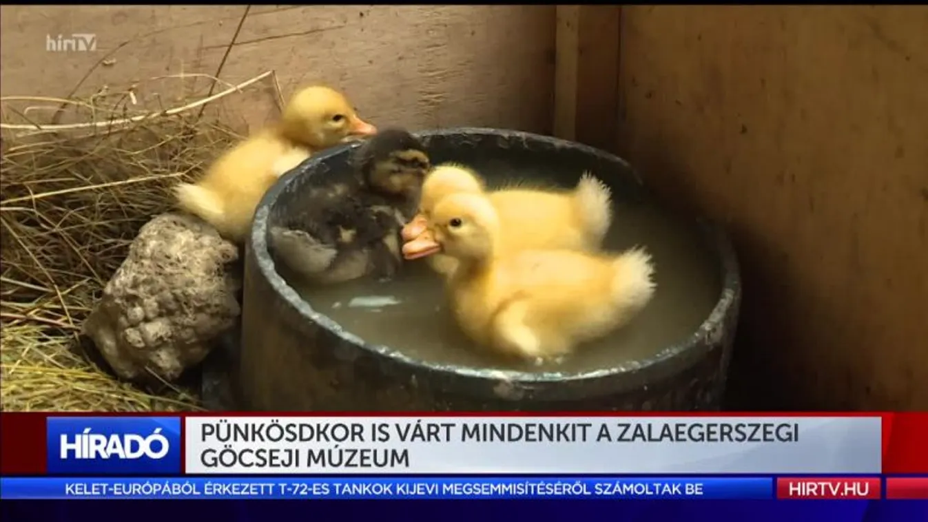 Pünkösdkor is várt mindenkit a zalaegerszegi Göcseji Múzeum