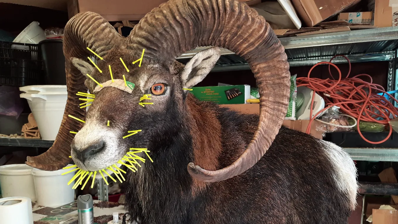 Radar - Szenvedélye a preparálás