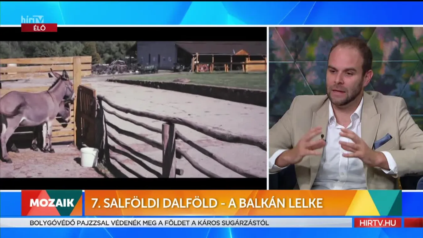 Mozaik - 7. Salföldi Dalföld - A Balkán lelke (2022-06-22)