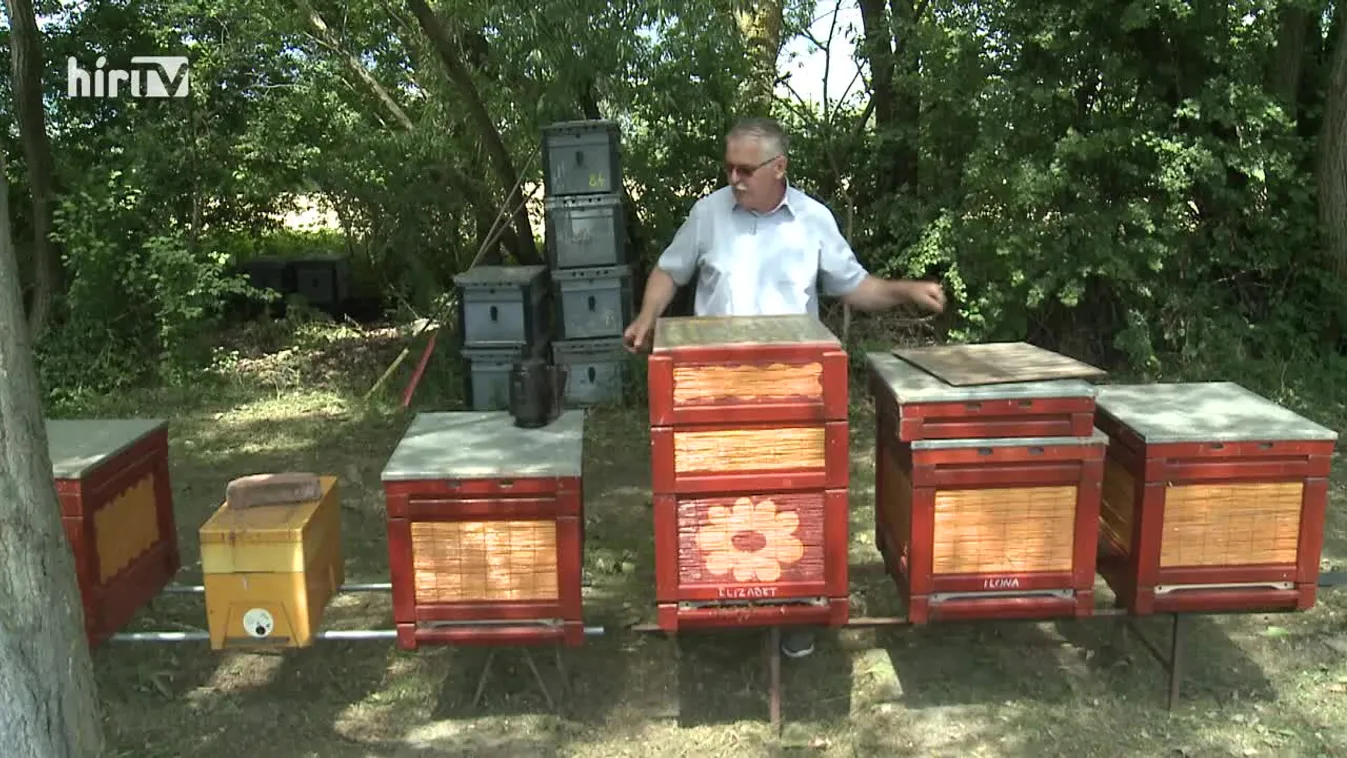 Soroló (2022-06-18)