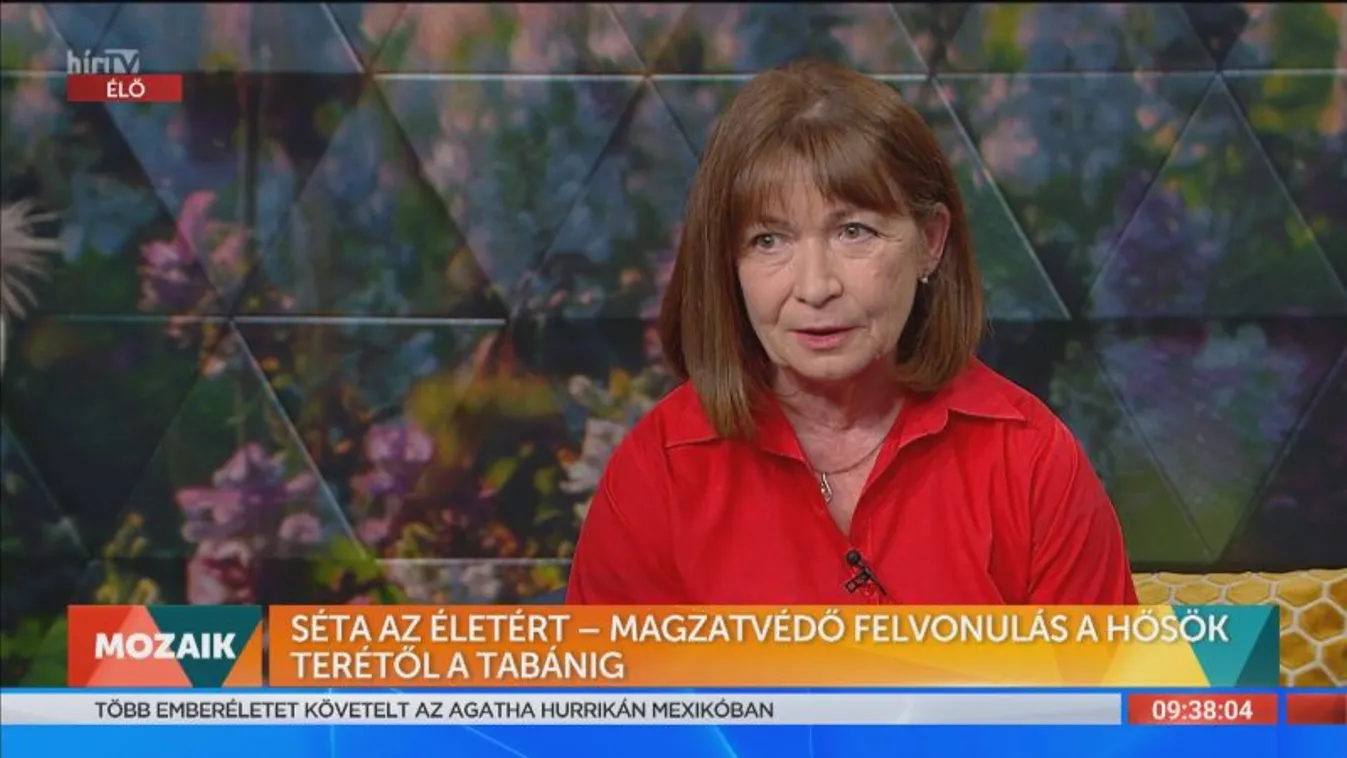 Mozaik - Séta az Életért – magzatvédő felvonulás a Hősök terétől a Tabánig (2022-06-01)