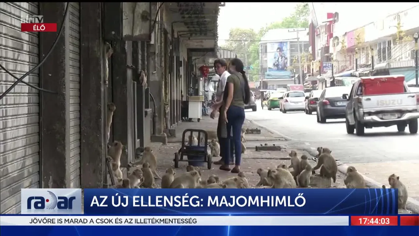 Radar - Mennyire kell tartanunk a majomhimlőtől? (2022-06-08)