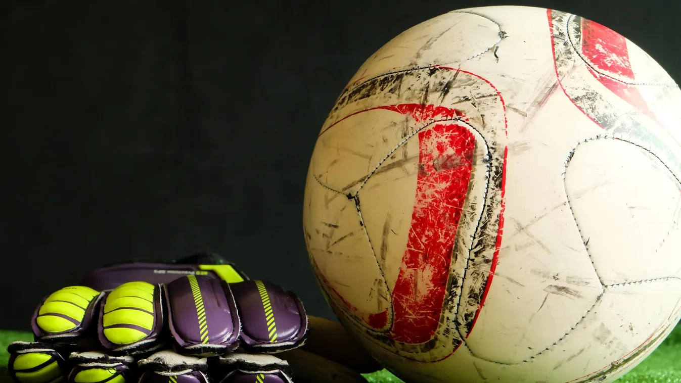 Két programot szervez a közeljövőben a Fülöp Márton Alapítvány