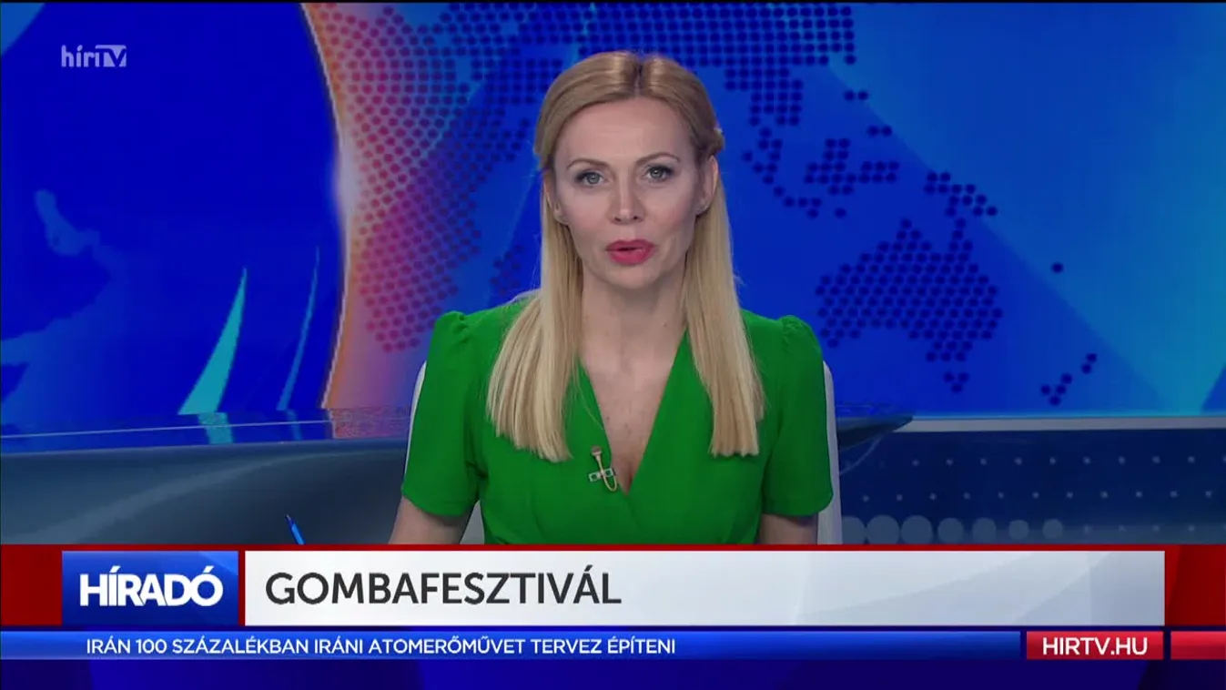 Gombafesztivál