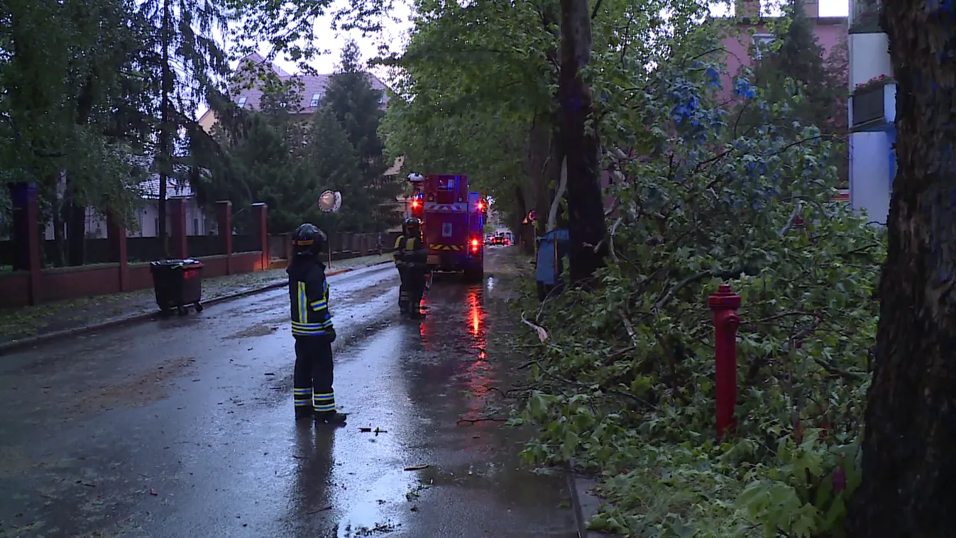 Gyors segítségre számíthatnak a viharban károsultak