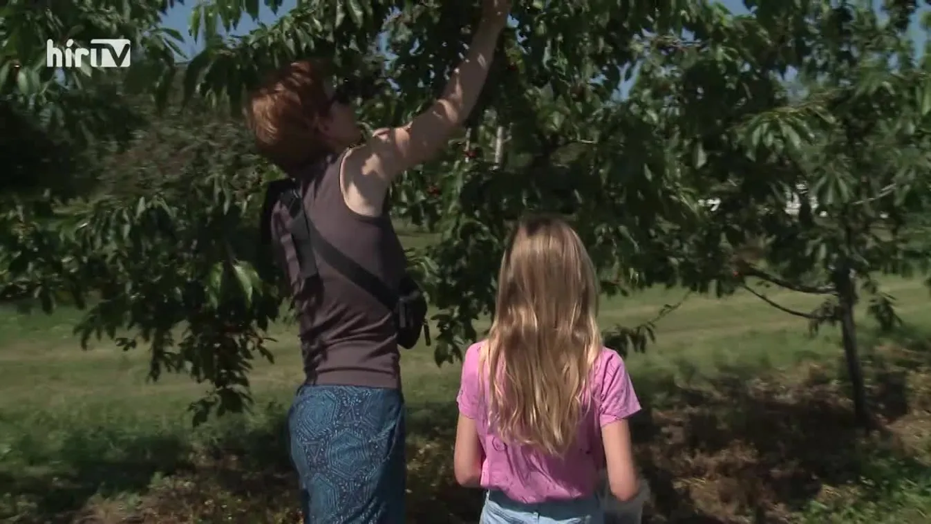 Soroló (2022-06-25)