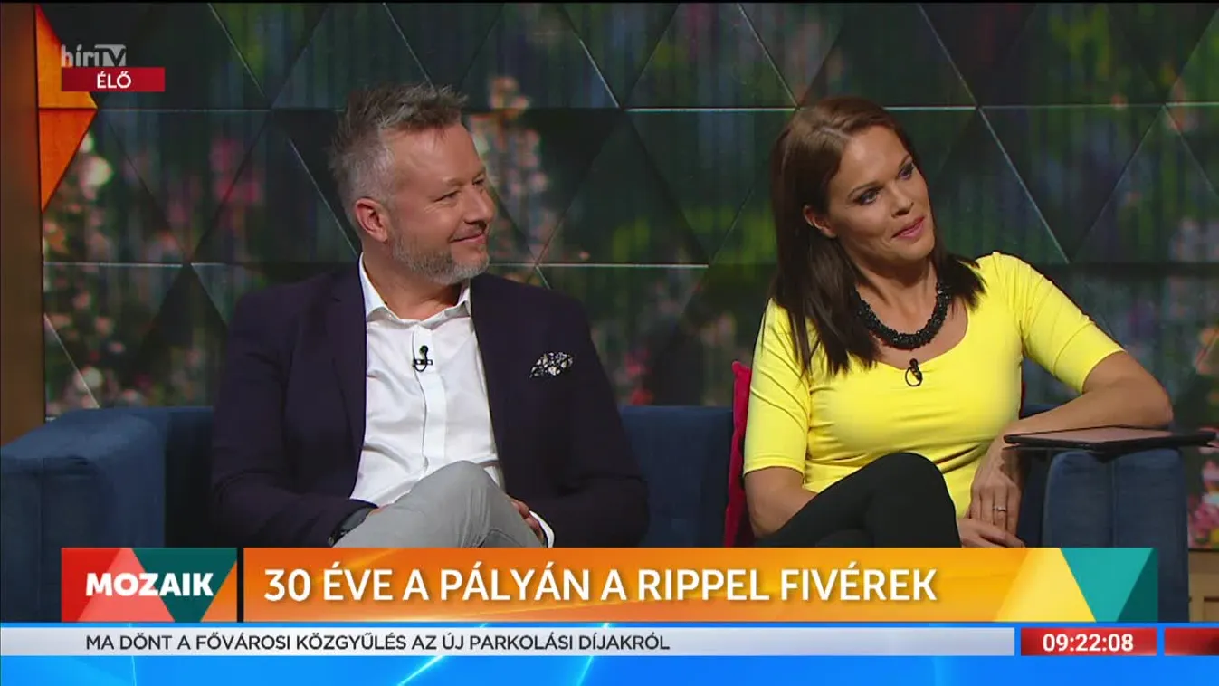 Mozaik - 30 éve pályán a Rippel fivérek
