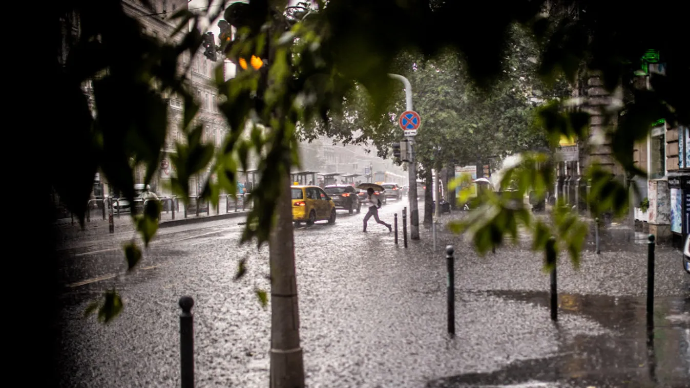 Tetőket bontott meg, fákat döntött ki a vihar Vas megyében