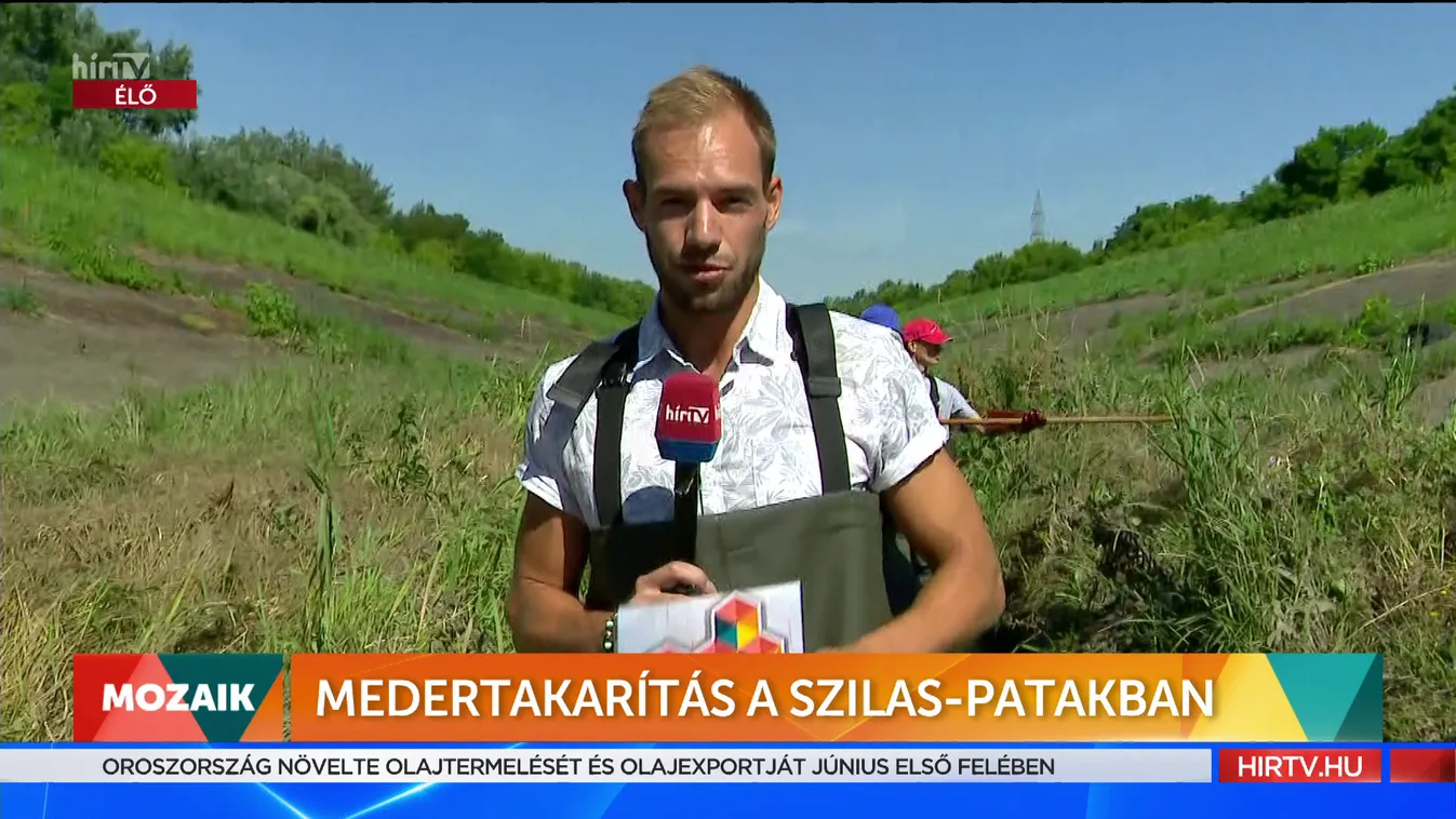 Mozaik: Medertakarítás a Szilas-patakban