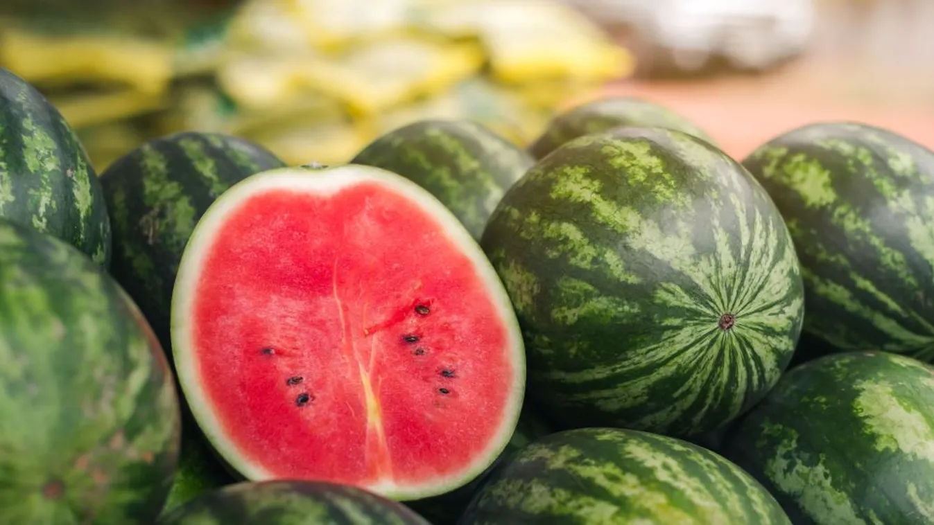 Kiváló minőségű dinnye terem idén belföldön