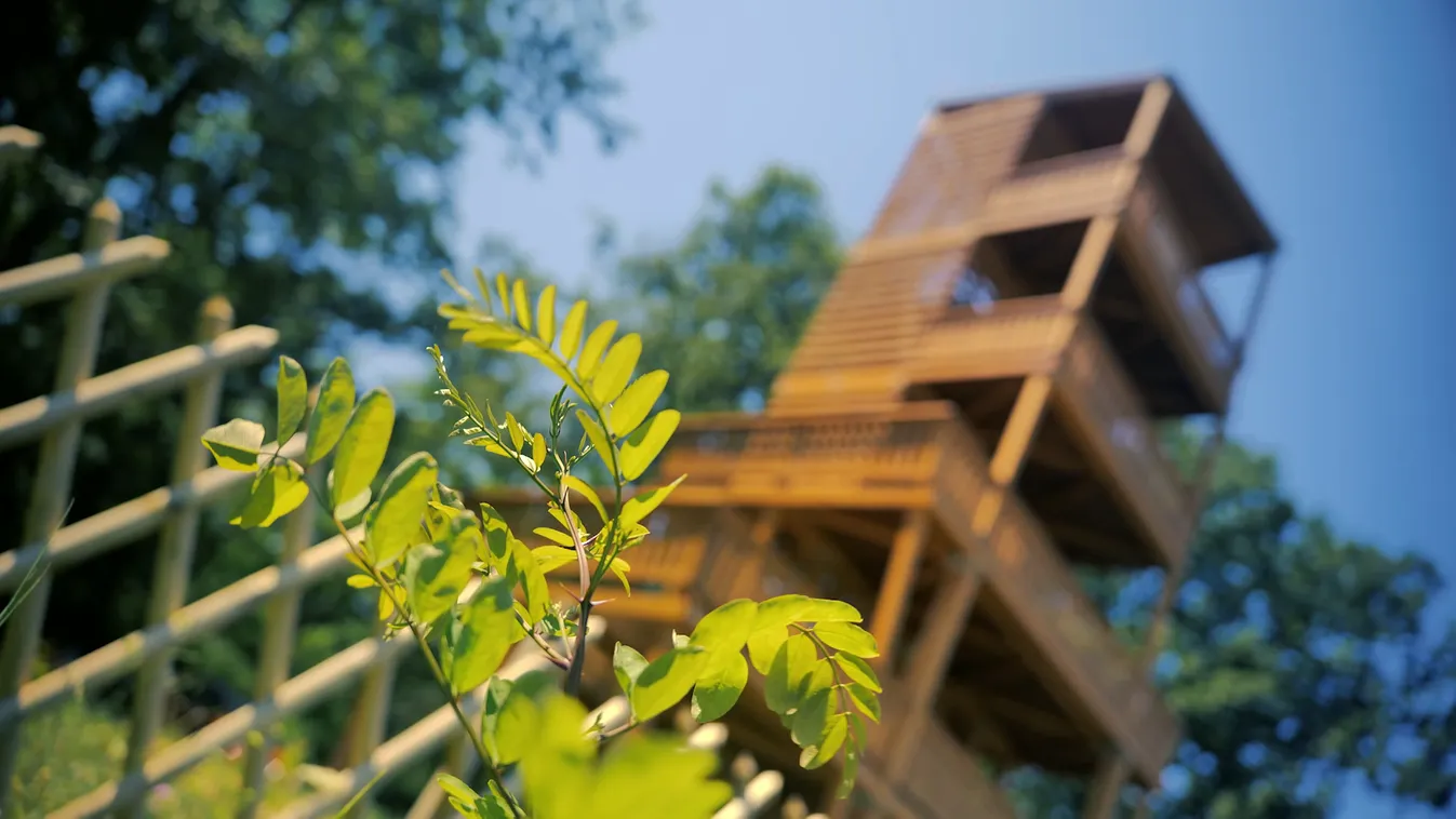 Mozaik - A Somoshegyi-kilátó Balatonberényben